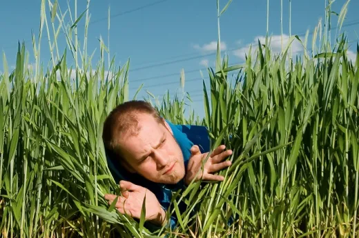 Mensch liegt im Gras und sucht
