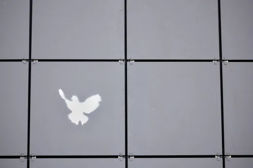 Bild von grauen Fliesen mit einer weißen aufgesprühten Friedenstaube
