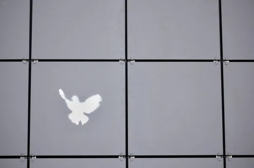 Friedenstaube © LauCam / Photocase Bild von grauen Fliesen mit einer weißen aufgesprühten Friedenstaube